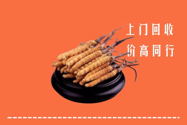 高价求购：鸡西市鸡冠区回收散虫草